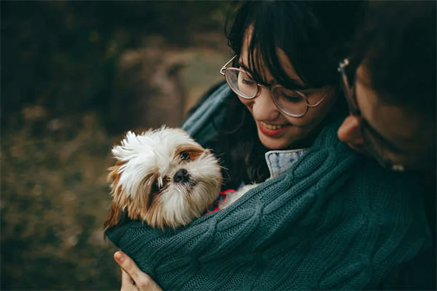 Pododermatite ulcerosa nei conigli: sintomi, cure e prevenzione